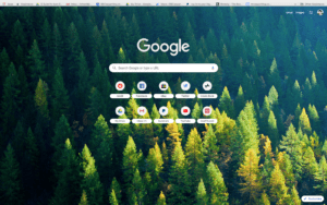 chrome nordic forest theme screenshot