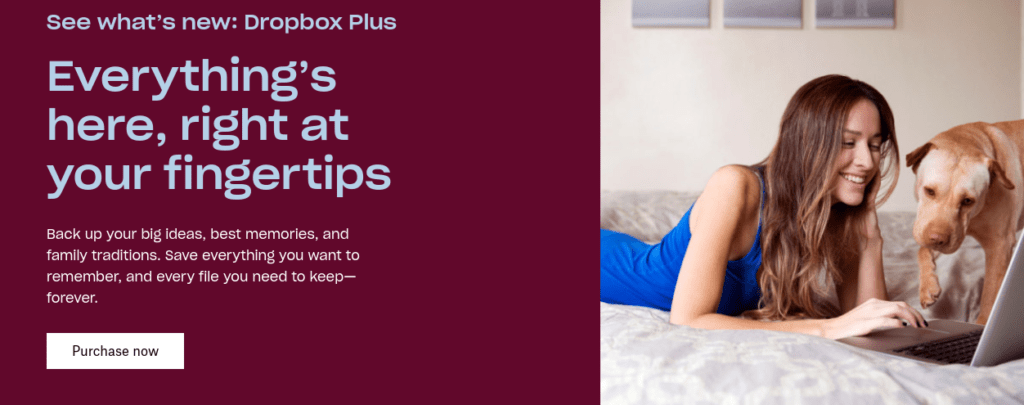 Dell dropbox hot sale plus