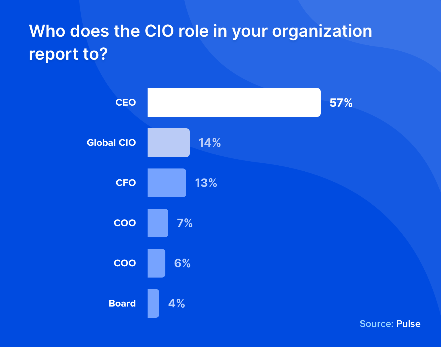 CIO role