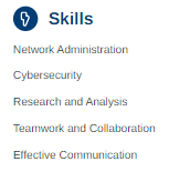 Skills example for an IT manager resume