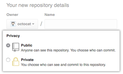 Box where you specify if you want your new repository to be public or private